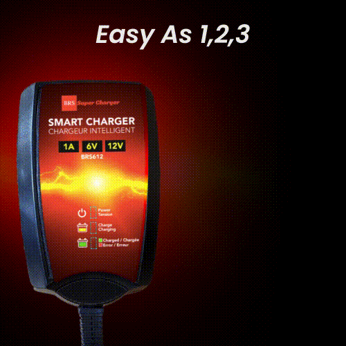 BRS Super Charger BRS612 - 6V/12V Fully Automatic Smart Charger Battery Maintainer & Rejuvenator - BRS Super Battery